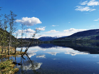 实操教程“蜀中生活圈有挂吗”开挂详细教程