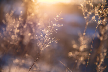 实测分享“阿拉游戏中心有挂吗”(原来确实是有挂)