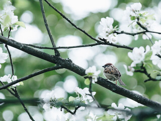 分享教程“微乐保皇怎么能让牌好一点”(原来确实是有挂)