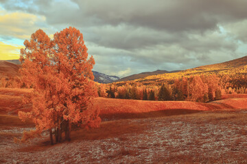 实测分析“新鸿狐大厅开挂辅助软件”分享用挂教程