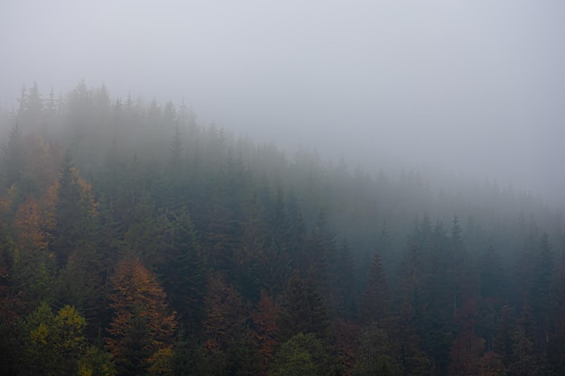 安装程序教程“手机斗地主赢钱的游戏”(详细开挂教程)