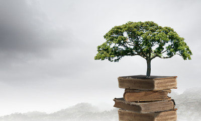 实测教程”小程序麻将怎样增加胜率”分享用挂教程