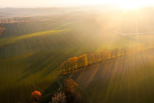安装程序教程“掌酷十三张牌稳赢方法”最新辅助详细教程