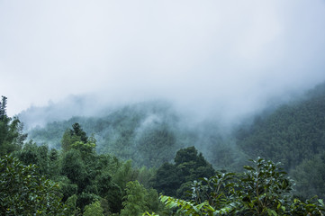 实测分析“微乐捉鸡麻将怎样设置才容易赢”(原来确实是有挂)