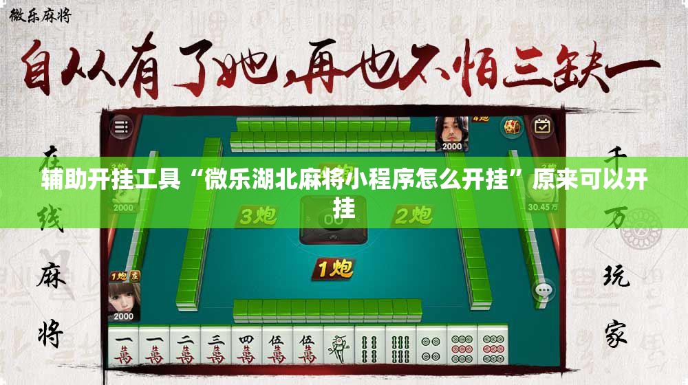 辅助开挂工具“微乐湖北麻将小程序怎么开挂”原来可以开挂