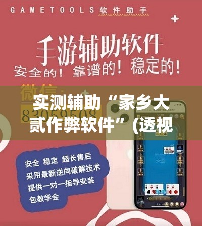 实测辅助“家乡大贰作弊软件”(透视挂)辅助下载教程