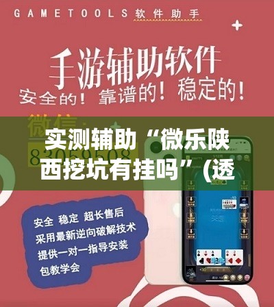 实测辅助“微乐陕西挖坑有挂吗”(透视挂)辅助下载教程