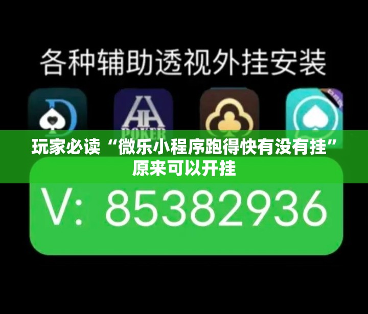玩家必读“微乐小程序跑得快有没有挂”原来可以开挂