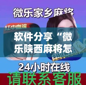 软件分享“微乐陕西麻将怎么开免费的挂”详细外挂透视辅助软件教程
