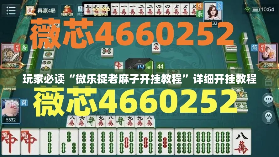 玩家必读“微乐捉老麻子开挂教程”详细开挂教程