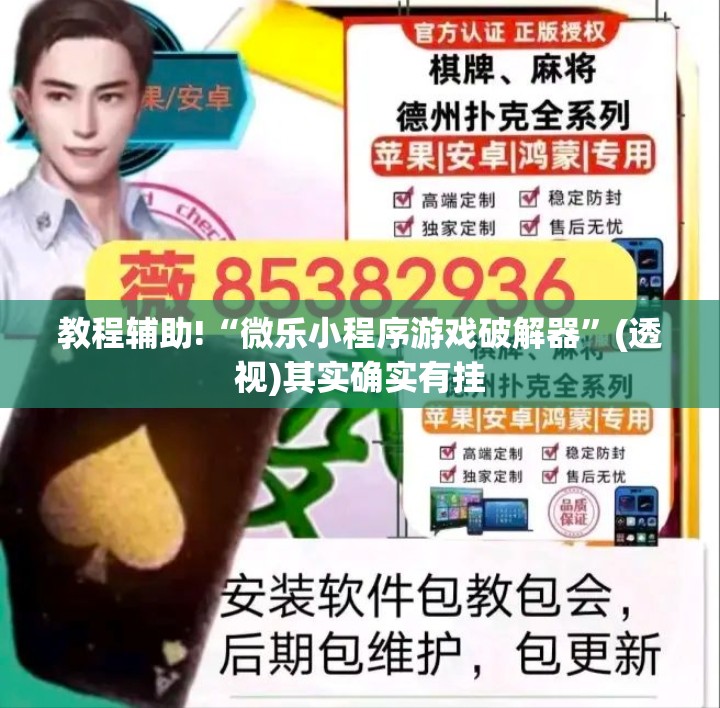 教程辅助!“微乐小程序游戏破解器”(透视)其实确实有挂
