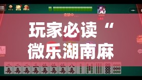玩家必读“微乐湖南麻将开挂免费下载安装	”原来可以开挂