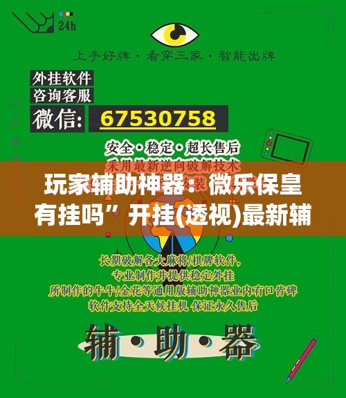 玩家辅助神器：微乐保皇有挂吗	”开挂(透视)最新辅助详细