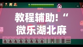 教程辅助!“微乐湖北麻将小程序怎么开挂”原来可以开挂
