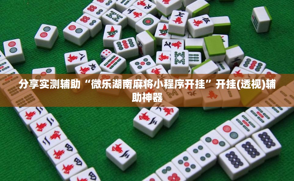 分享实测辅助“微乐湖南麻将小程序开挂”开挂(透视)辅助神器
