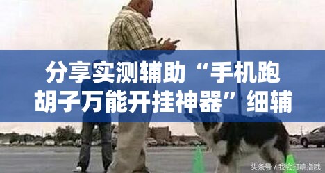 分享实测辅助“手机跑胡子万能开挂神器”细辅助教程分享