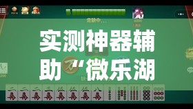 实测神器辅助“微乐湖南麻将三打哈有没有开挂神器”详细开挂教程