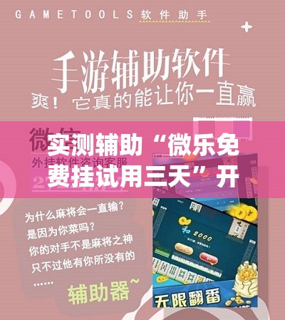 实测辅助“微乐免费挂试用三天	”开挂(透视)辅助教程