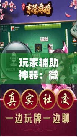 玩家辅助神器：微乐河北麻将外卦神器下载”其实确实有挂