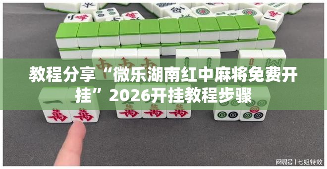 教程分享“微乐湖南红中麻将免费开挂”2026开挂教程步骤