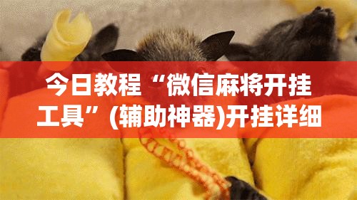 今日教程“微信麻将开挂工具”(辅助神器)开挂详细教程