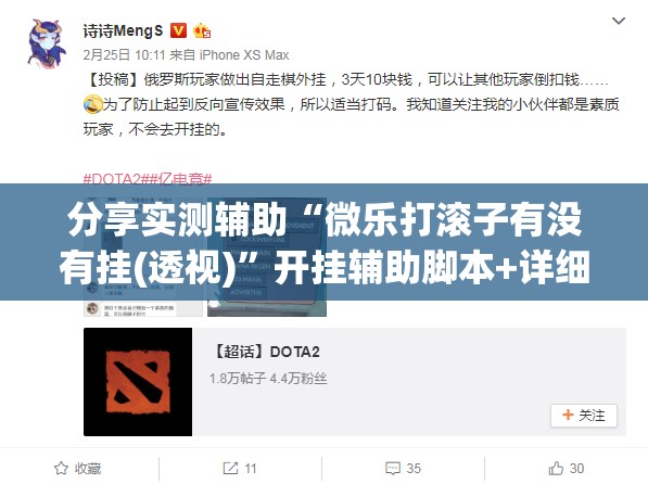 分享实测辅助“微乐打滚子有没有挂(透视)”开挂辅助脚本+详细开挂安装教程