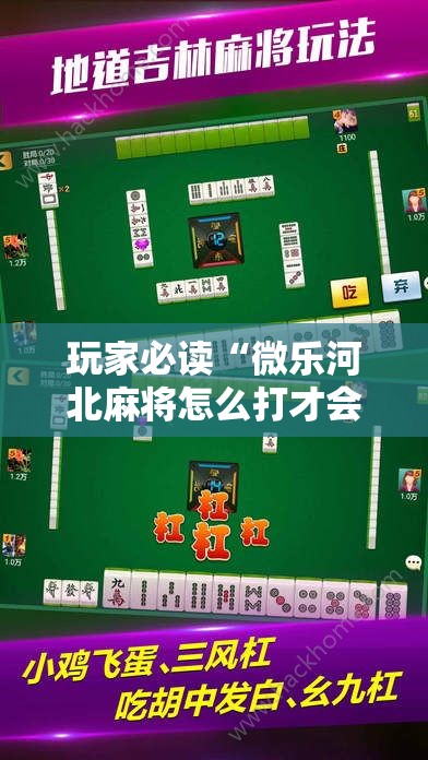 玩家必读“微乐河北麻将怎么打才会赢”科技辅助神器手机版