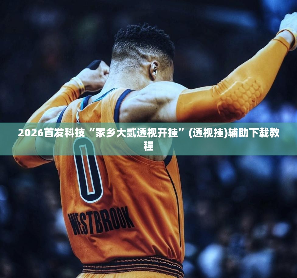 2026首发科技“家乡大贰透视开挂”(透视挂)辅助下载教程