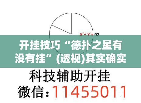 开挂技巧“德扑之星有没有挂”(透视)其实确实有挂