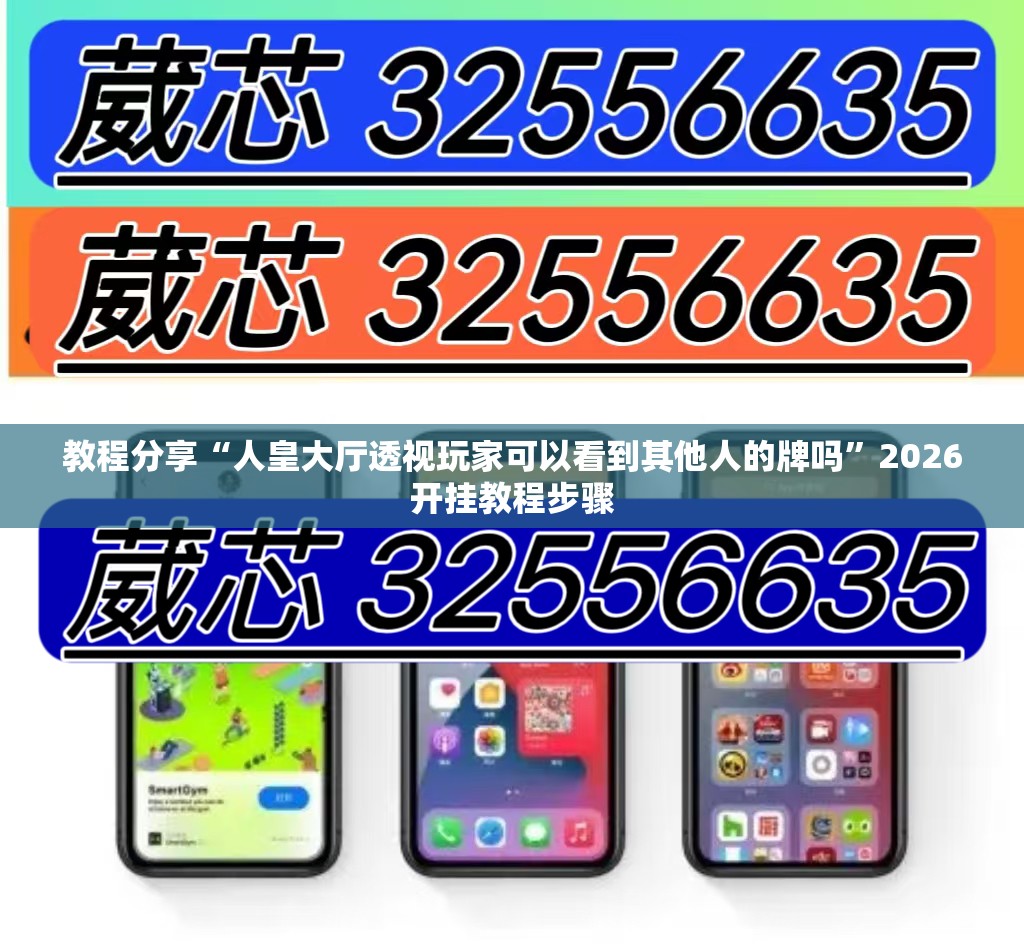 教程分享“人皇大厅透视玩家可以看到其他人的牌吗”2026开挂教程步骤