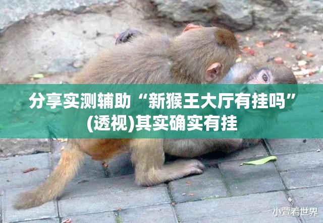分享实测辅助“新猴王大厅有挂吗”(透视)其实确实有挂