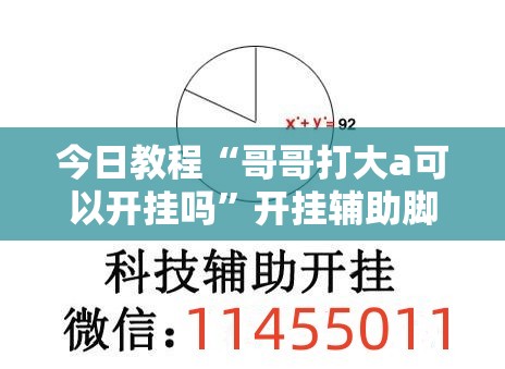 今日教程“哥哥打大a可以开挂吗”开挂辅助脚本+详细开挂安装教程