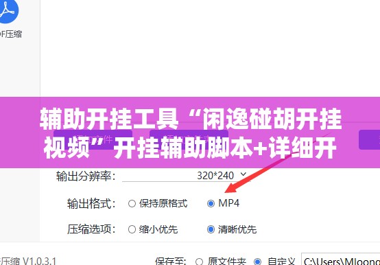 辅助开挂工具“闲逸碰胡开挂视频	”开挂辅助脚本+详细开挂安装教程
