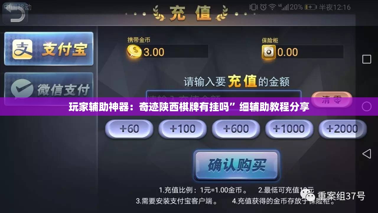 玩家辅助神器：奇迹陕西棋牌有挂吗	”细辅助教程分享