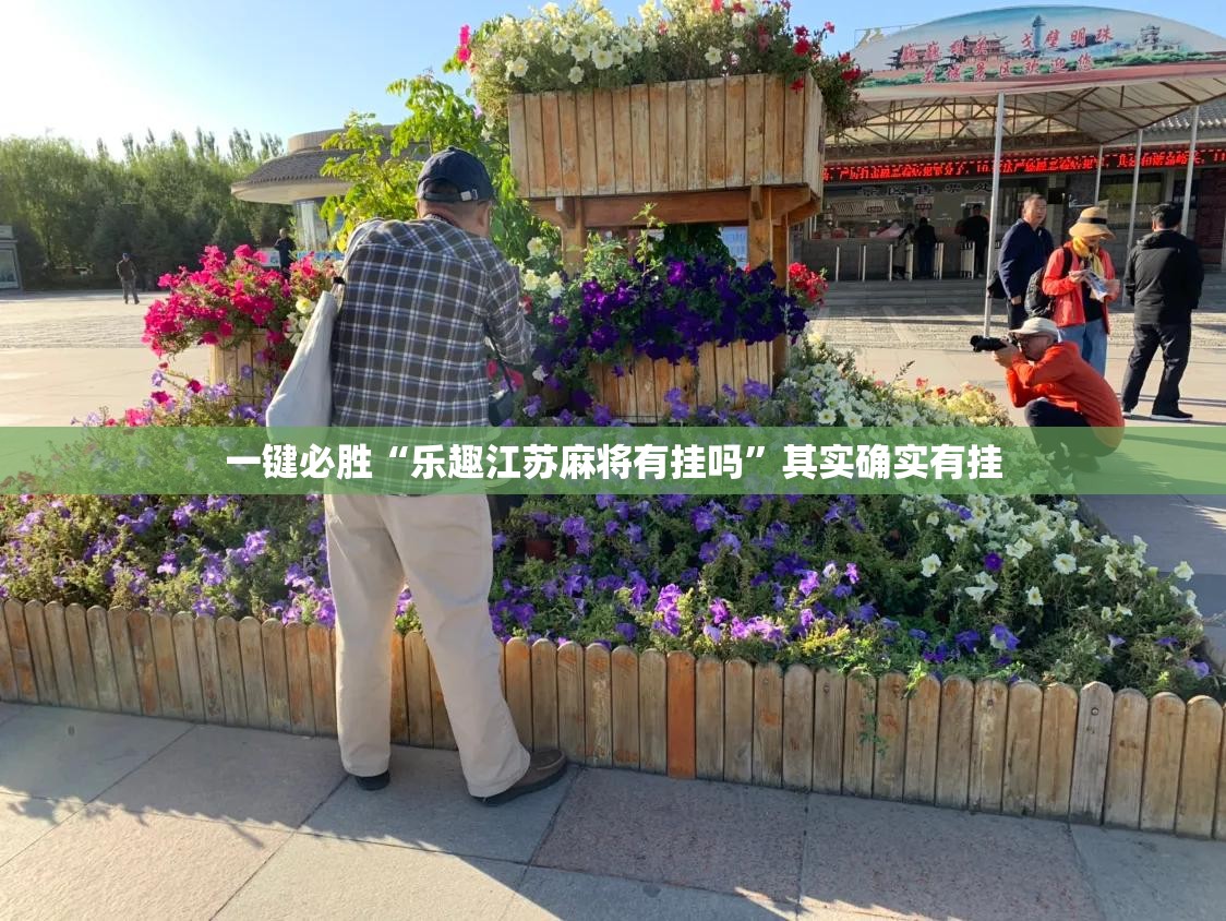 一键必胜“乐趣江苏麻将有挂吗”其实确实有挂