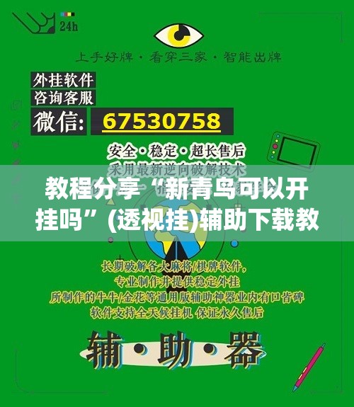 教程分享“新青鸟可以开挂吗”(透视挂)辅助下载教程