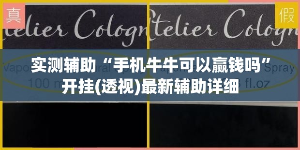 实测辅助“手机牛牛可以赢钱吗”开挂(透视)最新辅助详细