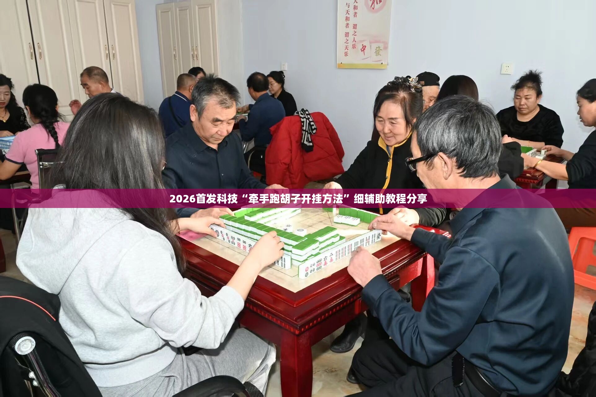 2026首发科技“牵手跑胡子开挂方法”细辅助教程分享
