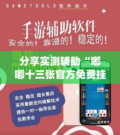分享实测辅助“嘟嘟十三张官方免费挂	”开挂(透视)最新辅助详细