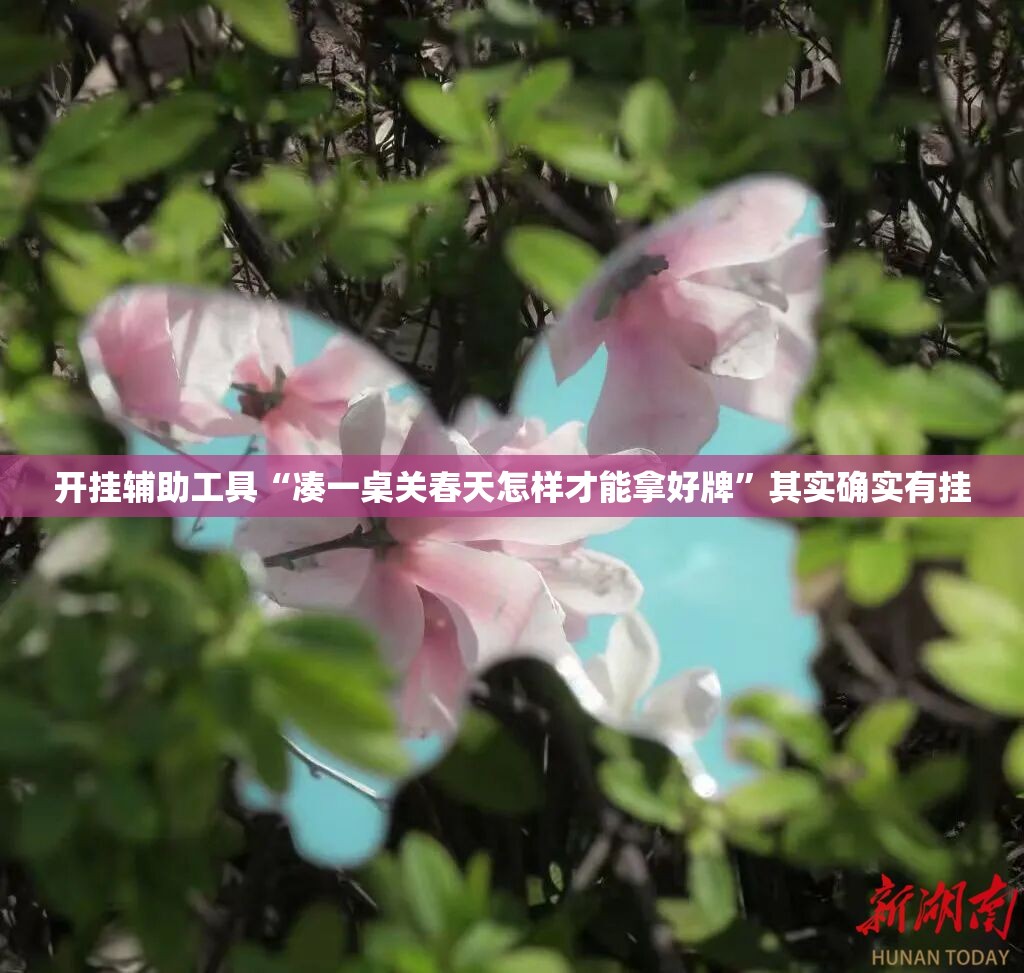 开挂辅助工具“凑一桌关春天怎样才能拿好牌”其实确实有挂