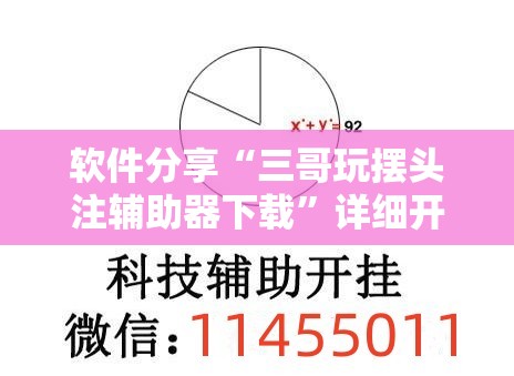软件分享“三哥玩摆头注辅助器下载”详细开挂教程