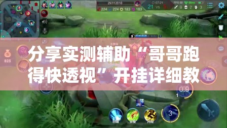分享实测辅助“哥哥跑得快透视	”开挂详细教程