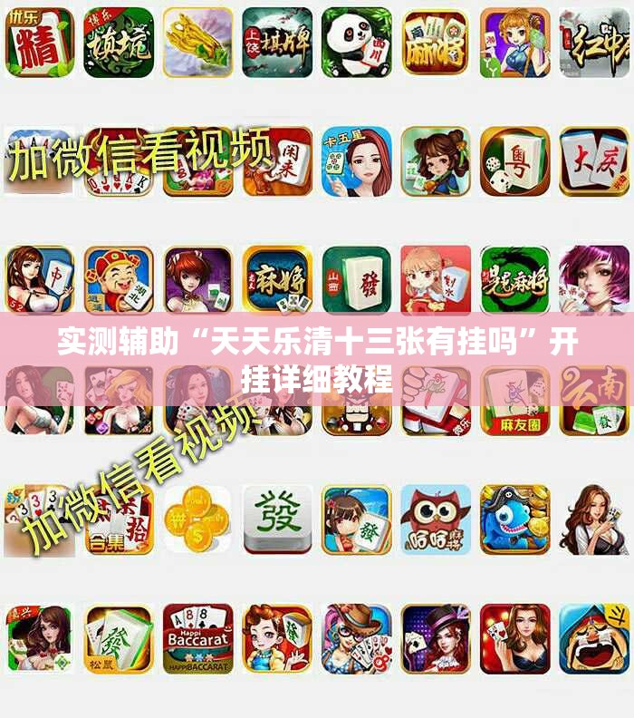 实测辅助“天天乐清十三张有挂吗”开挂详细教程