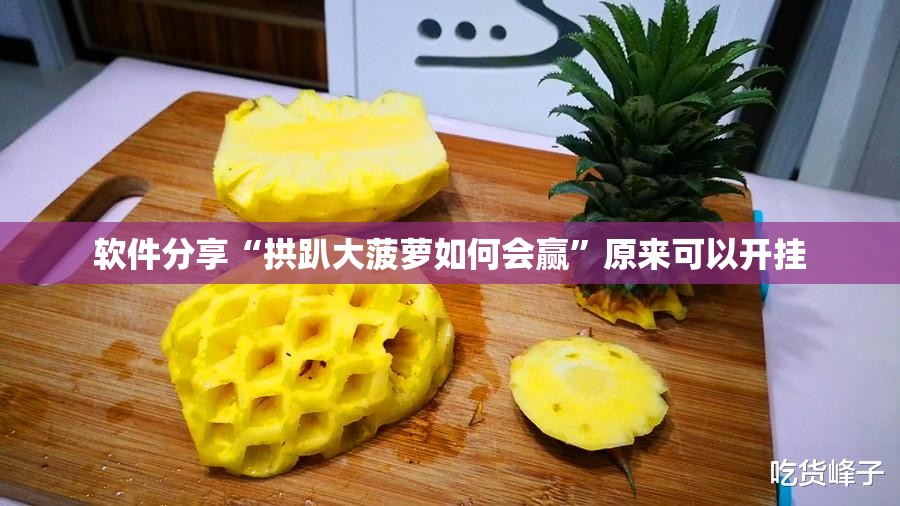 软件分享“拱趴大菠萝如何会赢	”原来可以开挂