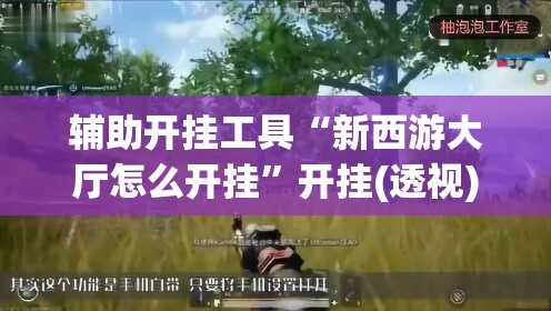 辅助开挂工具“新西游大厅怎么开挂”开挂(透视)辅助教程