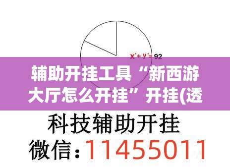 辅助开挂工具“新西游大厅怎么开挂”开挂(透视)辅助教程