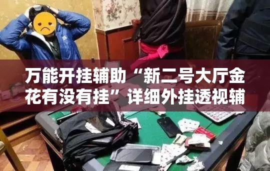 万能开挂辅助“新二号大厅金花有没有挂”详细外挂透视辅助软件教程