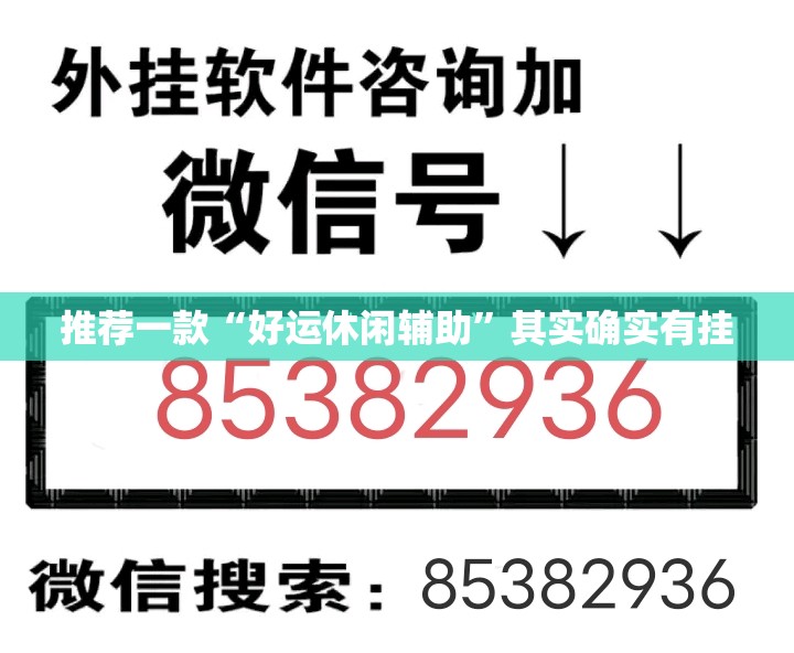 推荐一款“好运休闲辅助”其实确实有挂