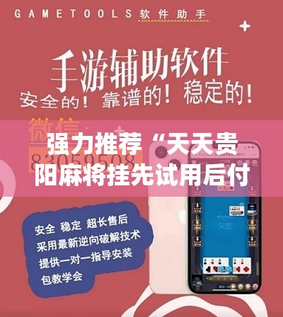 强力推荐“天天贵阳麻将挂先试用后付款”(免费)开挂辅助教学(最新辅助开挂教程)