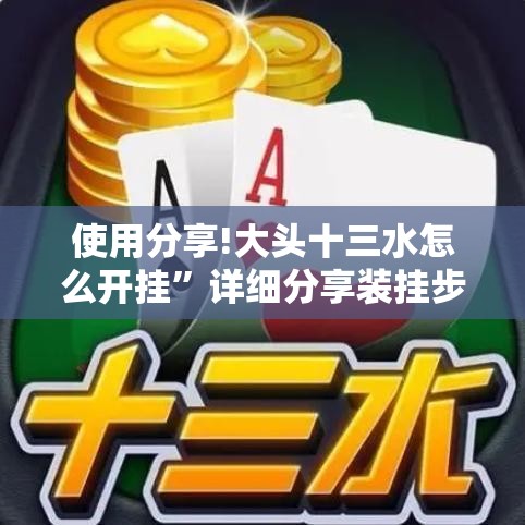 使用分享!大头十三水怎么开挂”详细分享装挂步骤